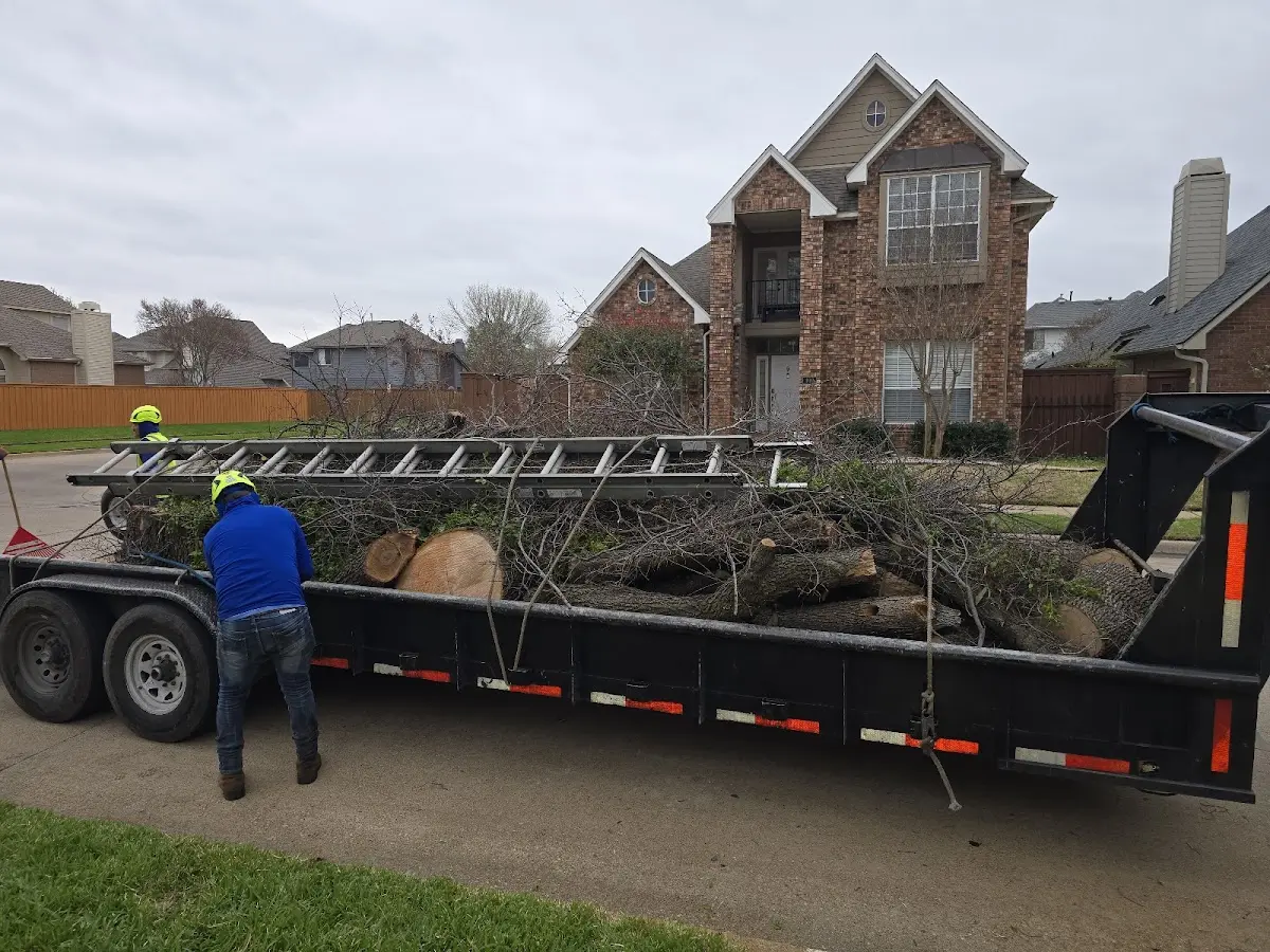 Expert Lot Clearing with proper safety equipment in Aultman